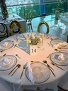 Plato Base Venecia
