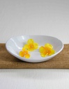 Plato Curvo