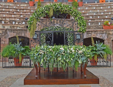 Tarima de Novios Nogal (2.44 x 2.44)