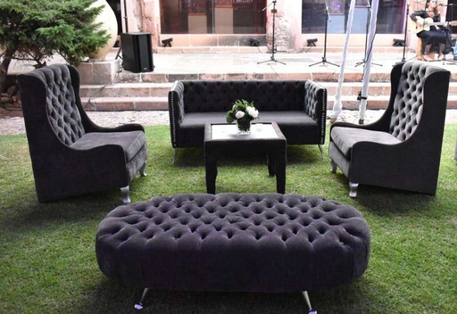 Sala Lounge Gris Capitoneada